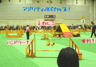 すごい！感動！！