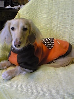 む～はうすのオレンジの洋服