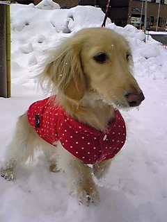 あのんと雪
