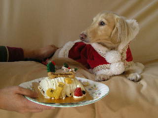 あのん＆ケーキ2