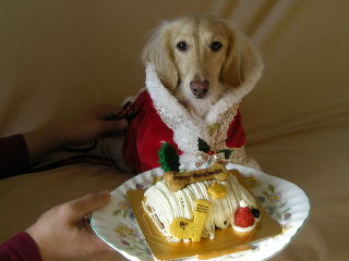 あのん＆ケーキ1