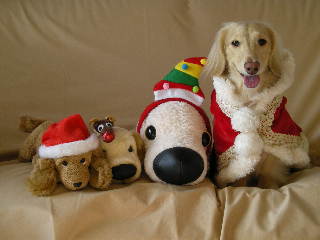 フォーショット2