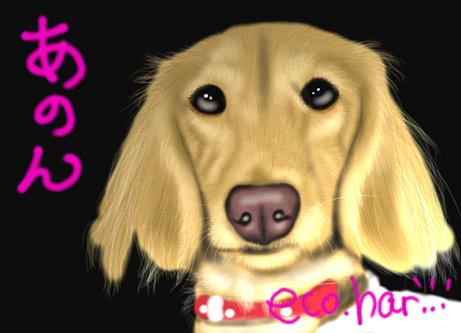 ハリーさんが描いてくれた あのん♪