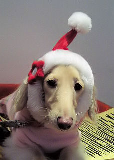 あのん サンタクロースの被り物♪