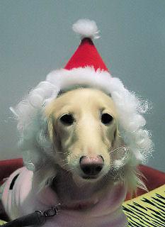 あのん サンタクロースの髭付き♪