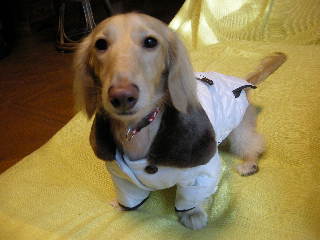 あのん白いコート