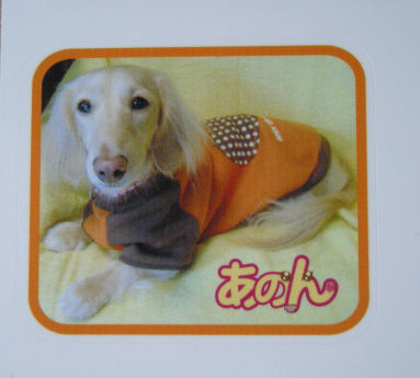 あのんオレンジロゴステッカー