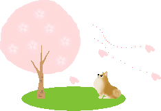 さくらちゃん 安らかに。。。