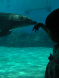 水族館１