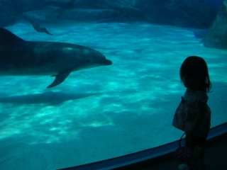 水族館２