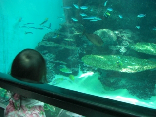 水族館７