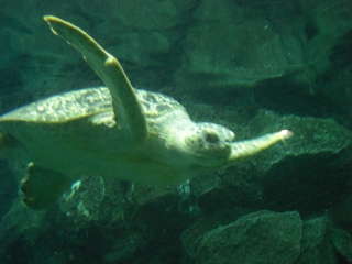 水族館１４