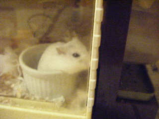 寝ないで・・・