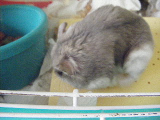 まったく・・・