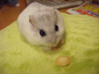 もぐもぐ・・・。