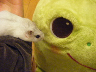 ひそひそ・・・