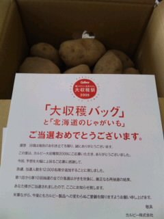 カルビー大収穫祭当選