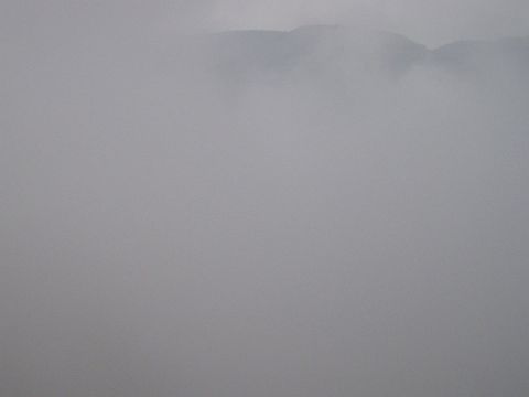 kusakari