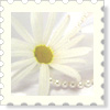 stamp_ma.jpg