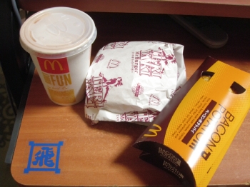 しょうがなく買いました