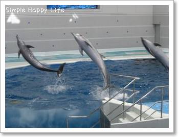 水族館2