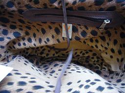 ENSHALLAH BAG IN.jpg