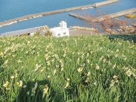 showPhoto[1] (2).jpg