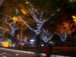 花園町イルミネーション