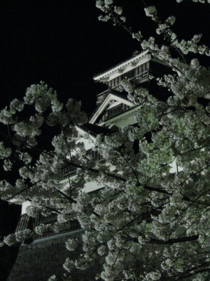 城と桜２
