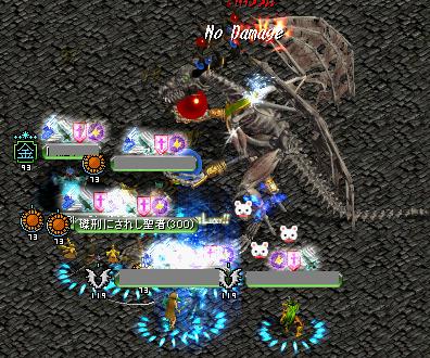 0205ドラゴリッチ.JPG