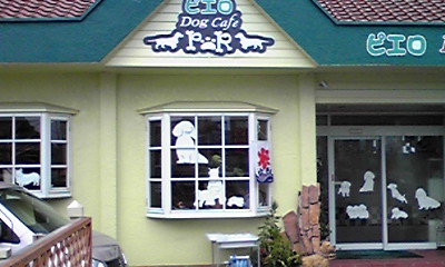 DogCafeピエロ.JPG