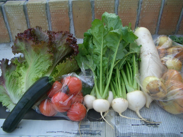 野菜