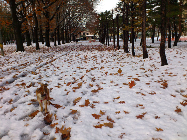 DSC_0903.jpg