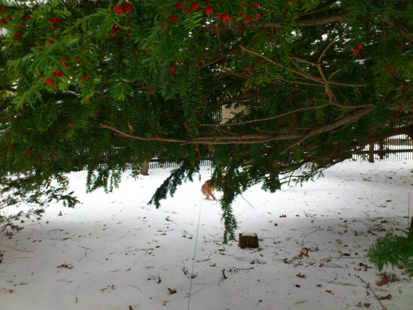 DSC_0882.jpg