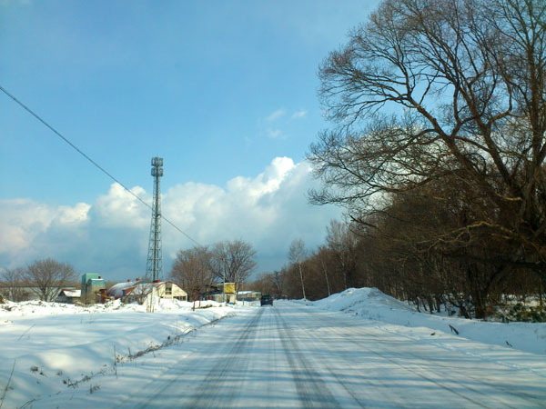 DSC_1593.jpg