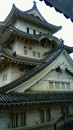 200905171505001.jpg