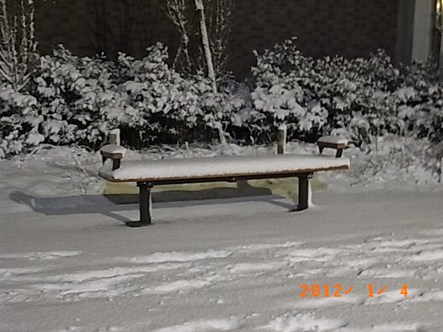 R0020113.JPG