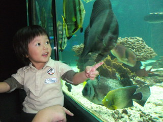 水族館9.29-3