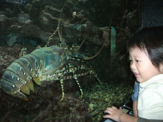 水族館9.29-5