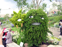 モリゾー＆キッコロ