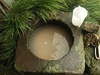 めだか３