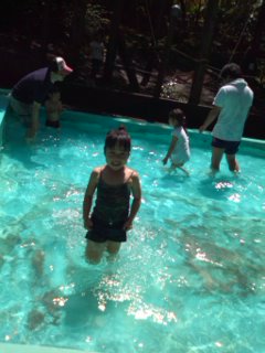 2009-06-07 15:18:03
