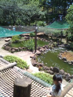 2009-06-07 15:18:03