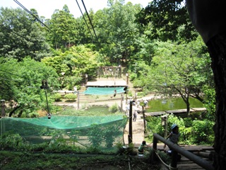 IMG_0866.JPG