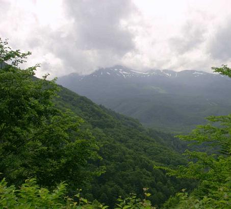 乗鞍高原