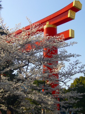 s-2010桜・サクラ・さくら・sakura 041.jpg