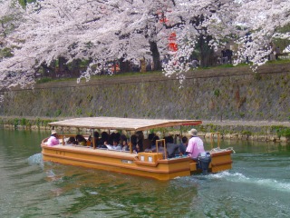 s-桜 079.jpg