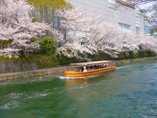 s-桜 091.jpg