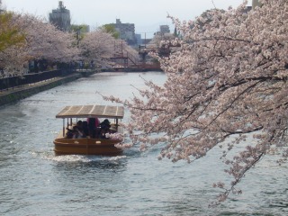 s-桜 095.jpg