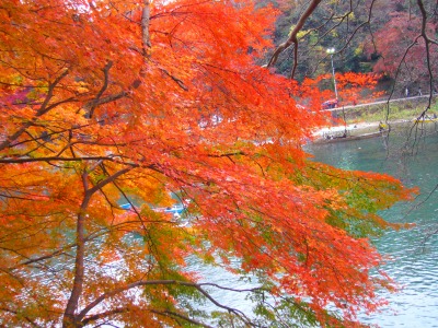 s-嵐山の紅葉２００９－７